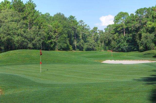 Golfing in Citrus Springs